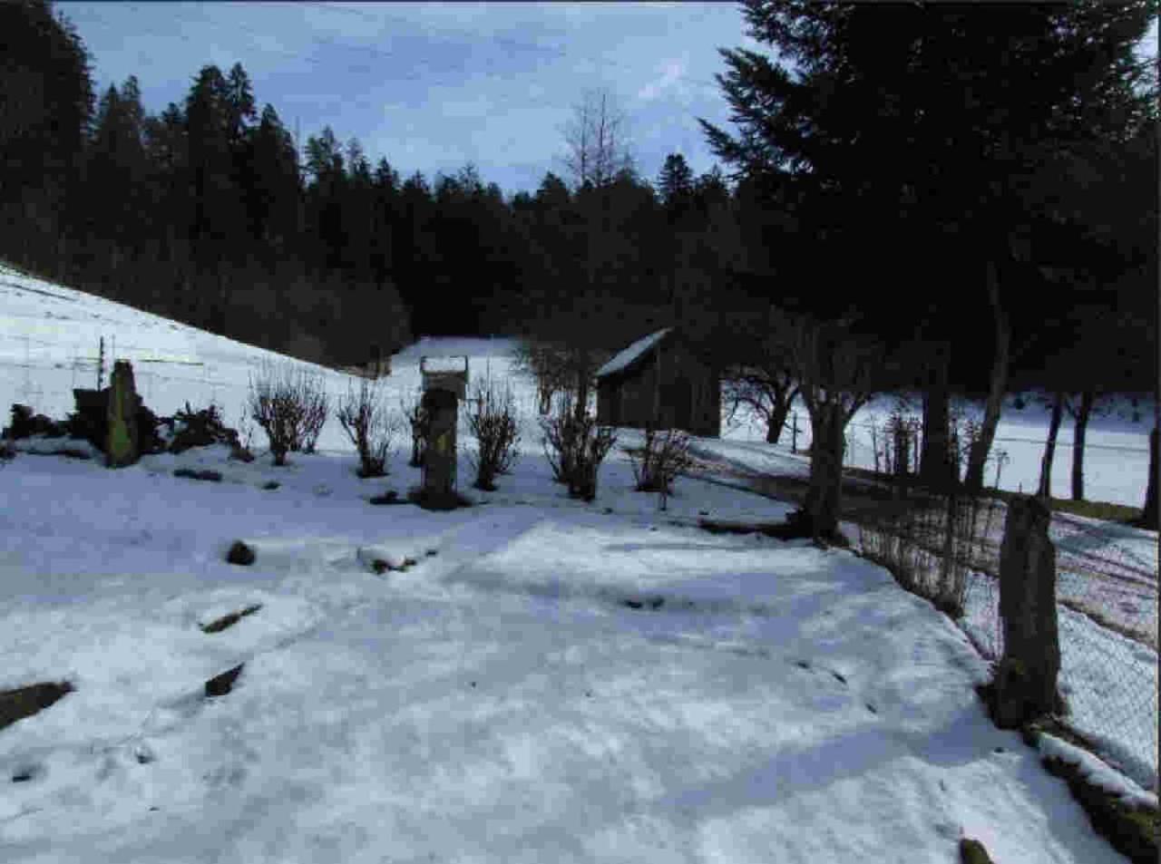 Ferienhaus Schwarzwald Seewald Erzgrube Badesee 100% Natur Exteriör bild