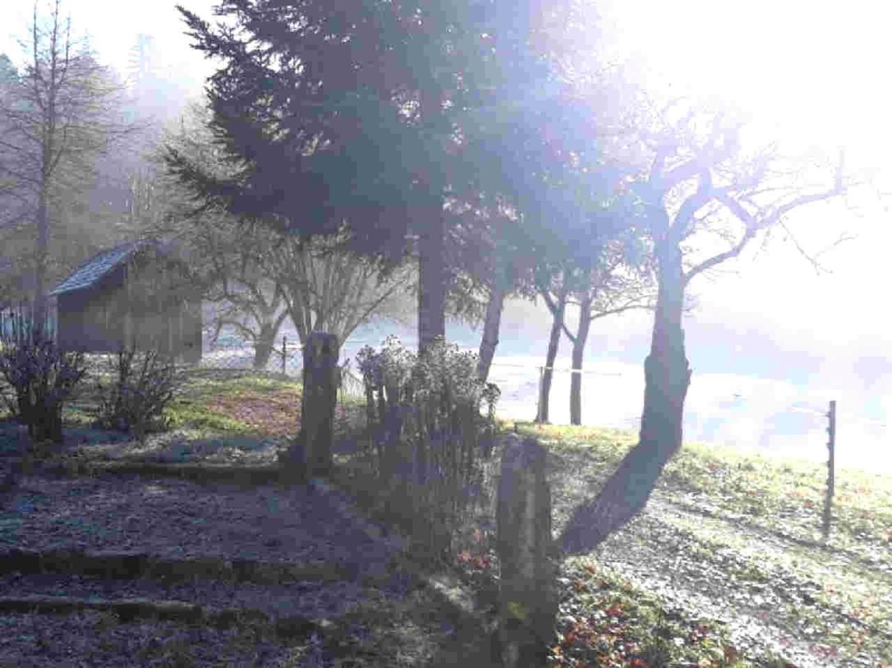 Ferienhaus Schwarzwald Seewald Erzgrube Badesee 100% Natur Exteriör bild