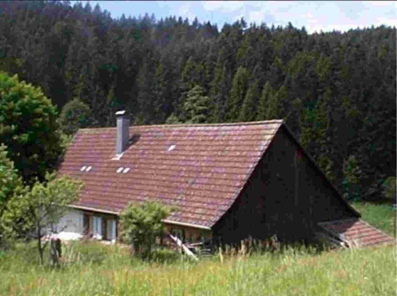 Ferienhaus Schwarzwald Seewald Erzgrube Badesee 100% Natur Exteriör bild